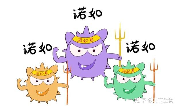 月经不来是什么原因_七月三十_月经量少颜色黑褐色是什么原因