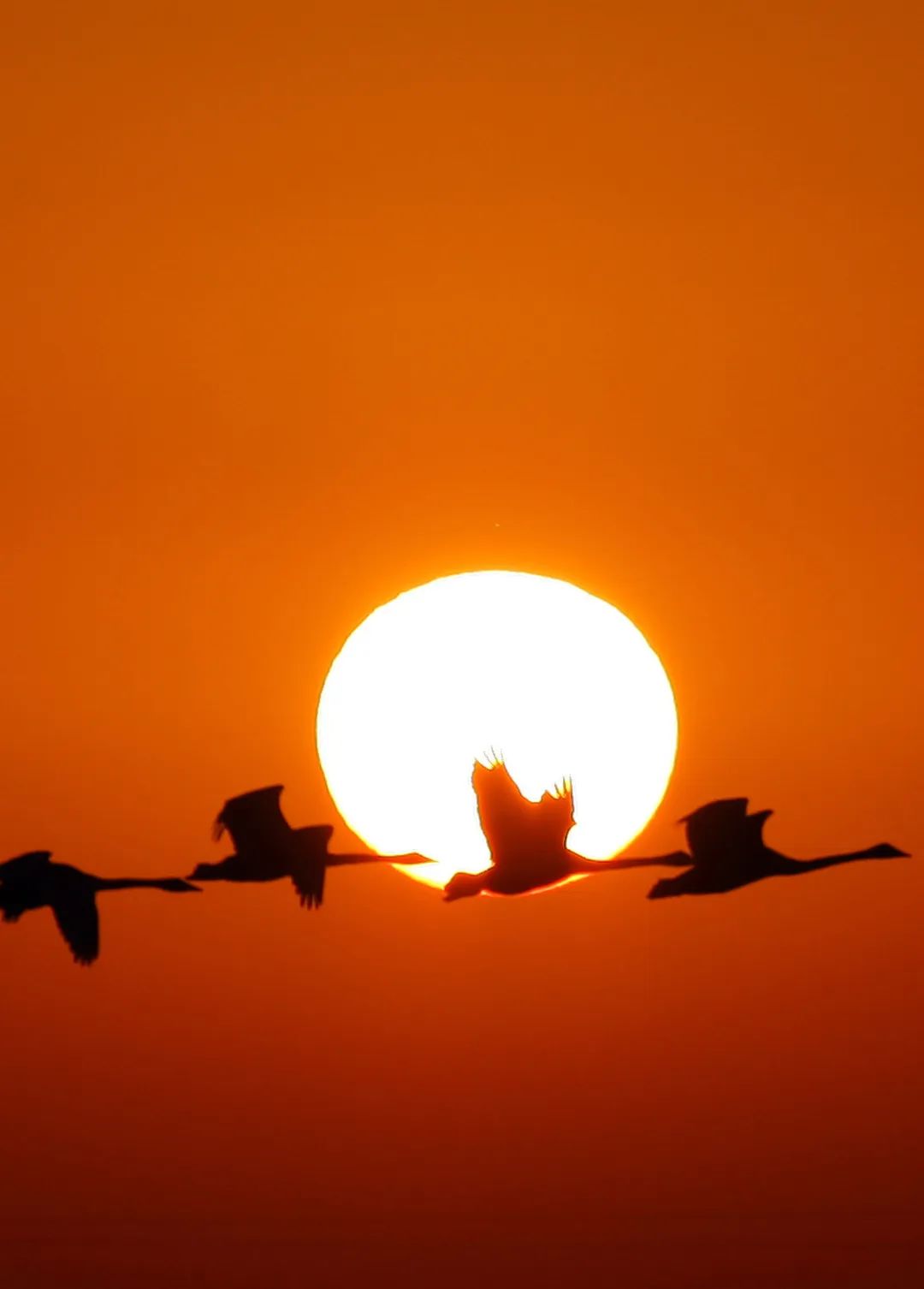 天下手游下载_天下手游app_手机游戏 天下