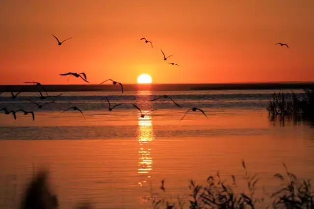 手机游戏 天下_天下手游app_天下手游下载