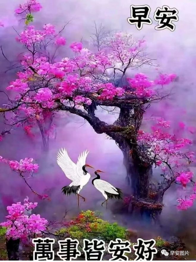 辟邪玉_辟邪玉怎么封装_辟邪玉在哪里穿戴