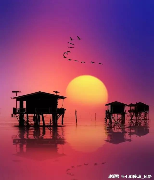 月里青山淡如画电视剧_月里青山淡如画预告_月季青山淡如画