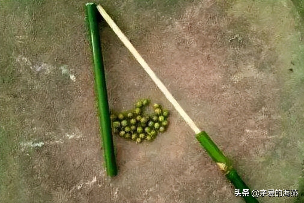 飞棍_飞棍的图片_飞棍真的存在吗