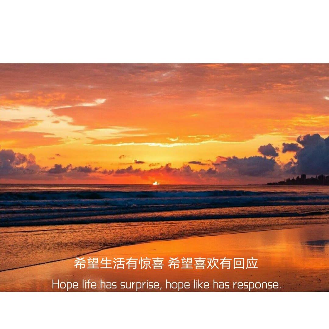 佐仓惣治郎_佐仓_佐仓千代