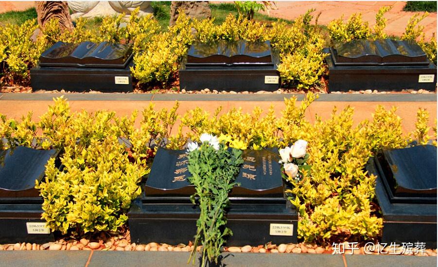葬礼流程_古代葬礼流程_彝族死后葬礼流程