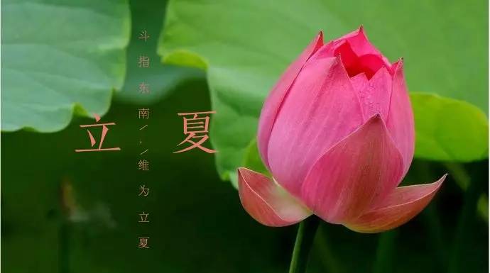 立夏的故事_立夏的故事_立夏的故事