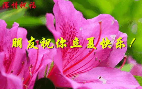 立夏的故事_立夏的故事_立夏的故事