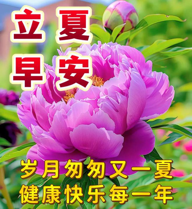 立夏的故事_立夏的故事_立夏的故事