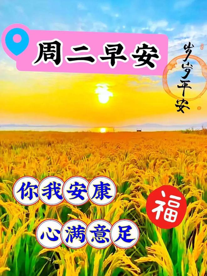 学园姐妹_姐妹学院的英文_学园姐妹百度云