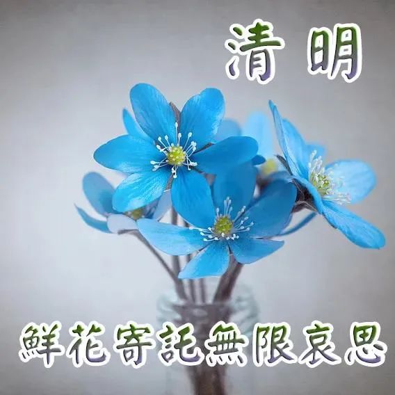 清明节哪天_清明节天气_清明节天黑之前要回家