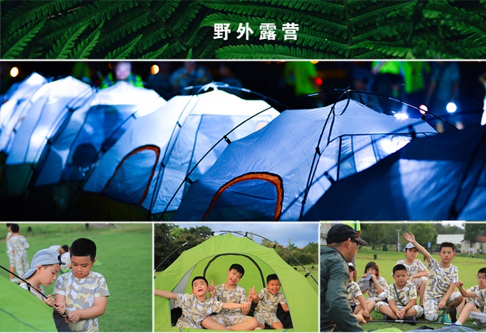 手机游戏丧尸生存类小说_丧尸生存类手游推荐_丧尸生存文