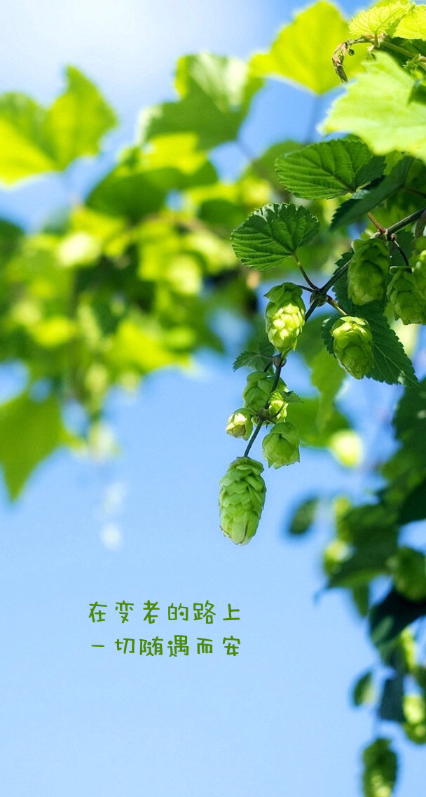 十四郎_郎诗德_郎个里个郎郎