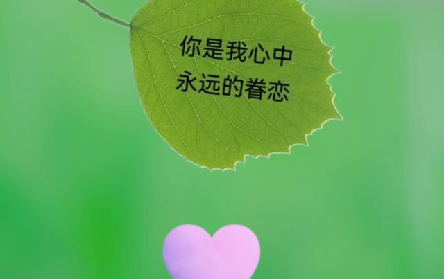 下载没完成的还能接着下载吗_不能错过的只有你下载_错过下载准考证怎么办