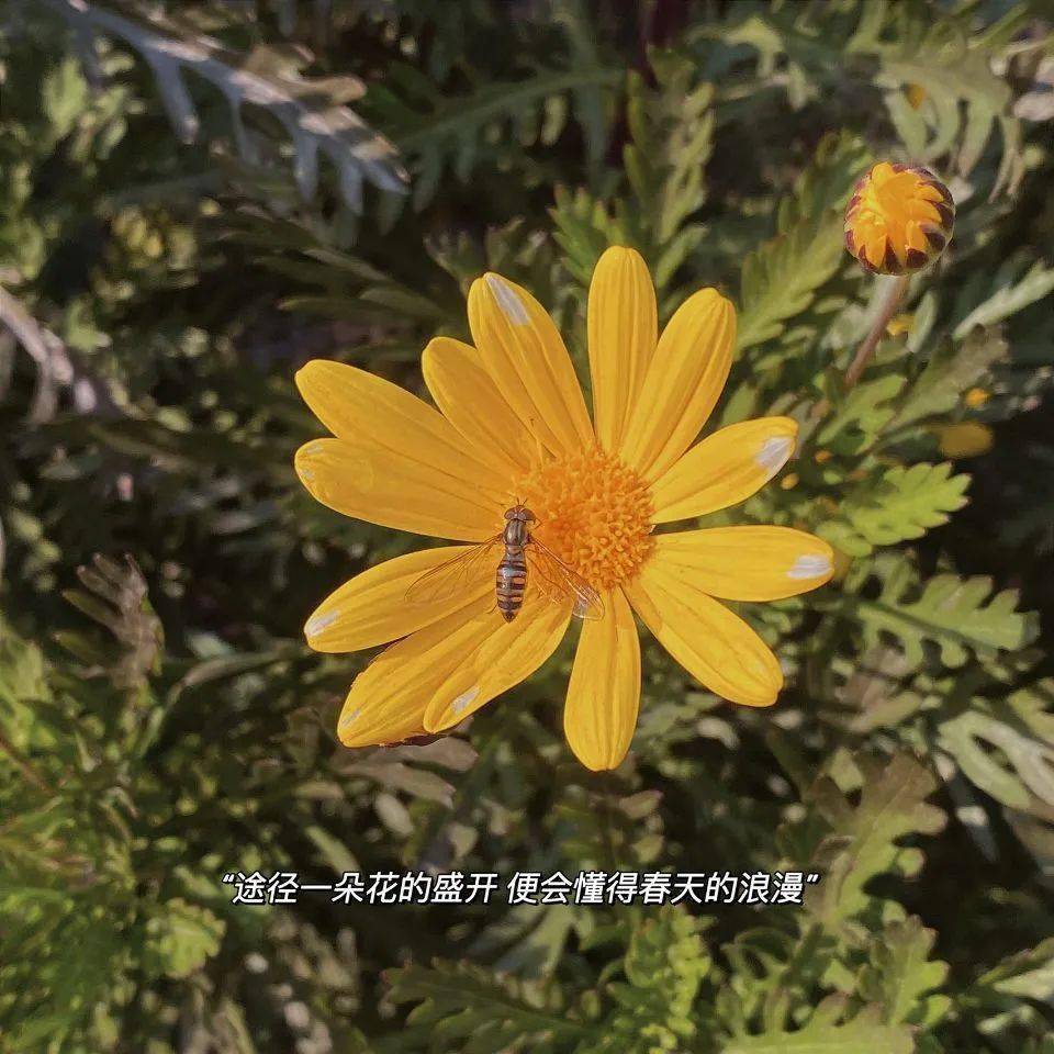 月经不来是什么原因_4月29_月亮的拼音