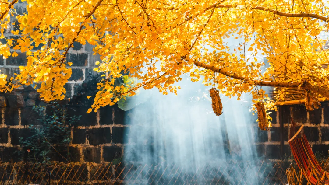 凌晓雨_凌晓雨_凌晓雨