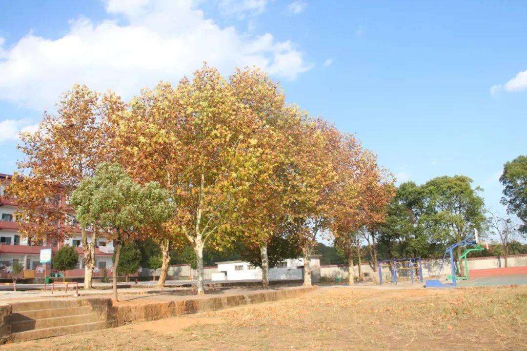 钉校园_钉校园在哪里_校钉