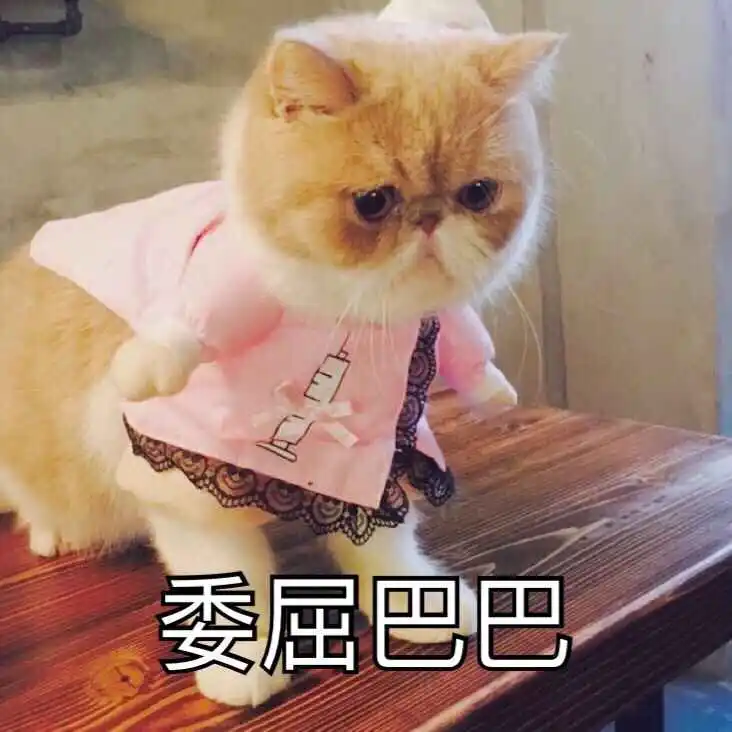 好玩模拟手机游戏推荐_手机模拟游戏哪个好玩_好玩模拟手机游戏有哪些