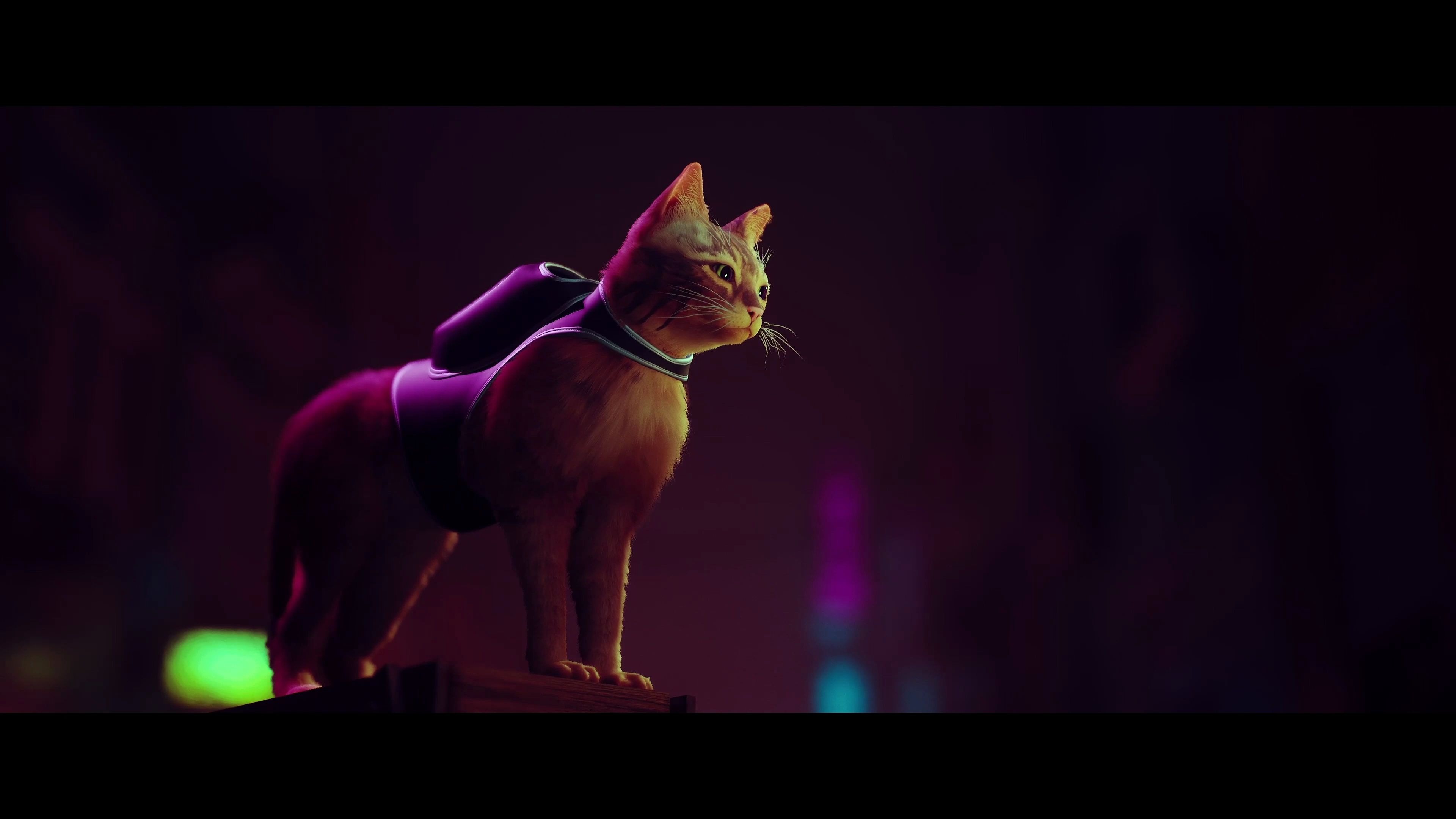 猫攻击手机游戏叫什么_猫攻击手机游戏有哪些_手机游戏猫攻击