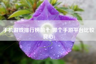 推荐手机好玩游戏_手机游戏本有什么推荐_推荐手机游戏的app
