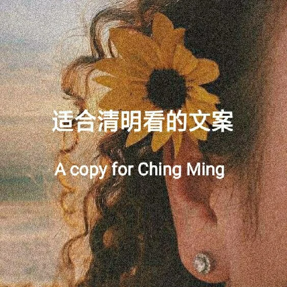 清明年买什么贡品_清明年2024_2023年清明