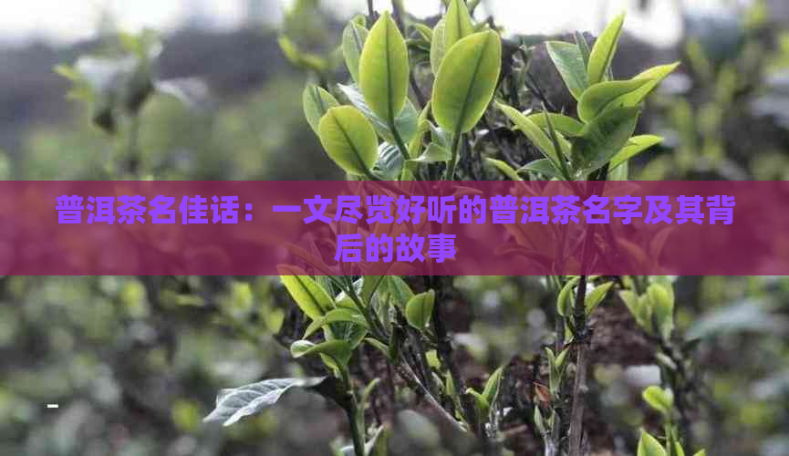 玄翦双刃_八玲珑和黑白玄翦_玄翦