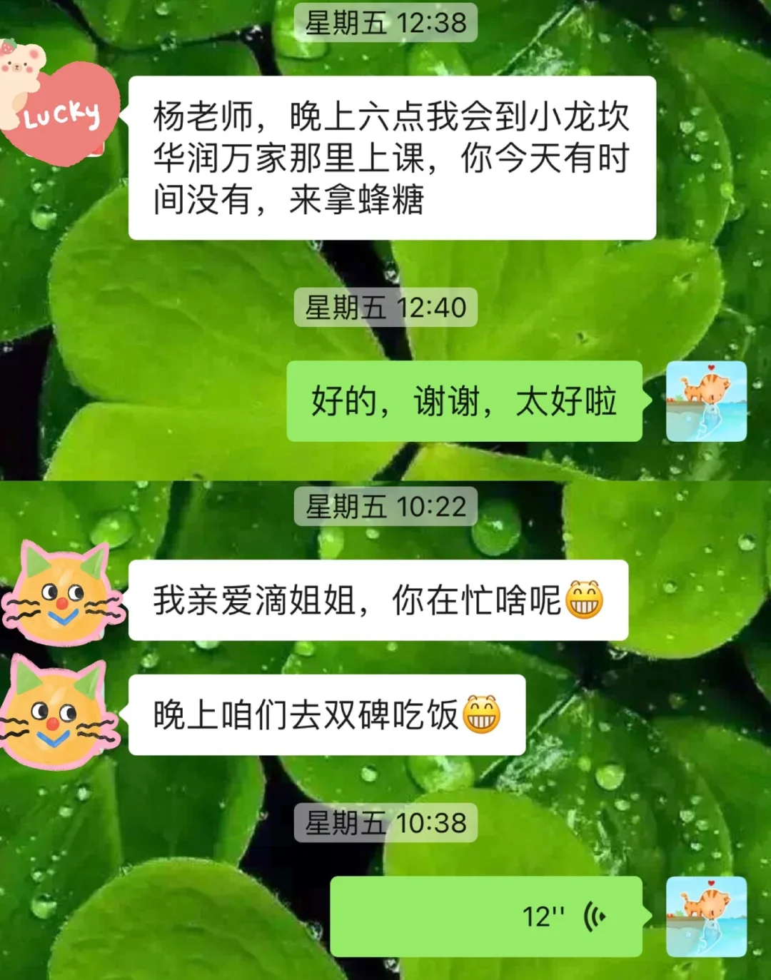 能移动手机游戏的软件_移动手机游戏收费_手机游戏不能移动