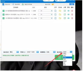 DreamFace安卓中文版 DreamFace安卓中文版