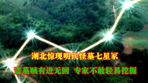 七星资讯安卓版下载安装 