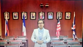 什么什么里奥冒险 什么什么里奥冒险