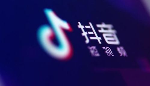 迅捷浏览器登录网址 