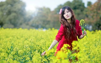 校园女生模拟器苹果手机版 