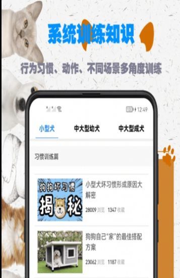 训狗教程大全 