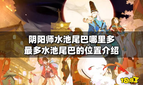 疯狂水池 