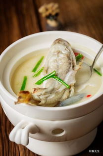 河豚视频剪辑 