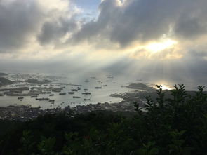 AI绘画艺术秘境 