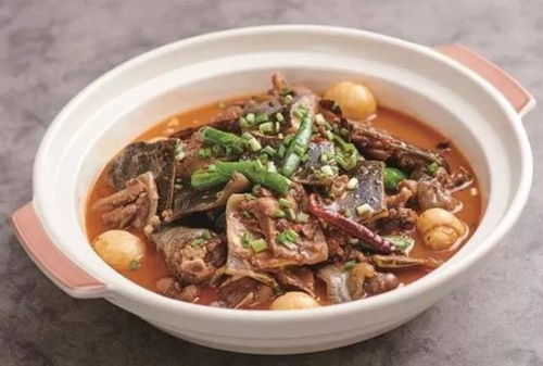萨卡班甲鱼 