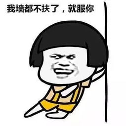 表情包大乱斗 