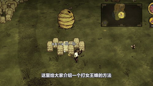 怎么样才能不当社畜:妻子的故事 