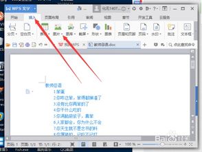 wpsoffice 