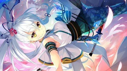 朱雀优化大师app手机版 