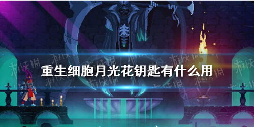 月光影院 