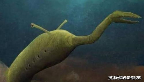贪吃小怪物官方版手游下载 