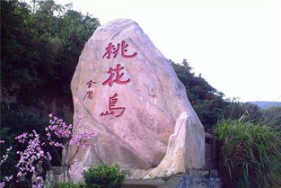 我的桃花运 