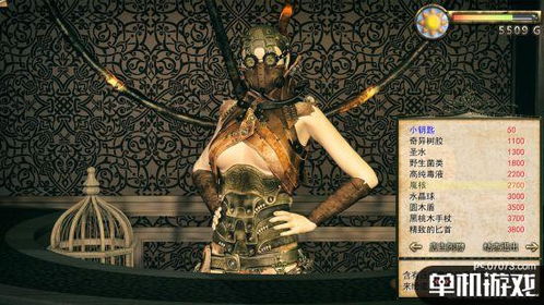 神医魔导怎么推出,跨界融合的奇幻之旅