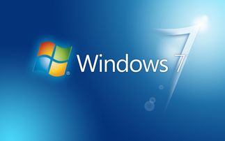 纸飞机windows下载,轻松体验飞行乐趣