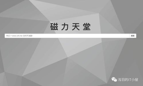bt蚂蚁磁力搜索官网版 