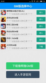 暴走大侠gm版 