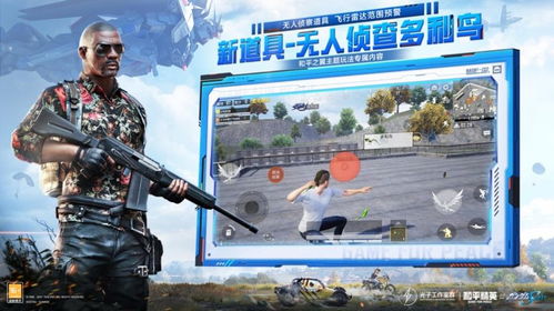 和平精英体验服正版 