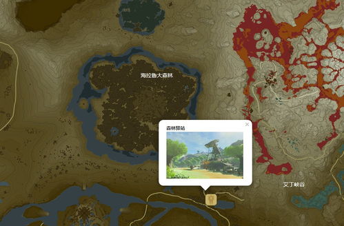 森林营地中文版 