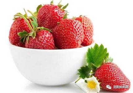 草莓影视电视剧免费观看 