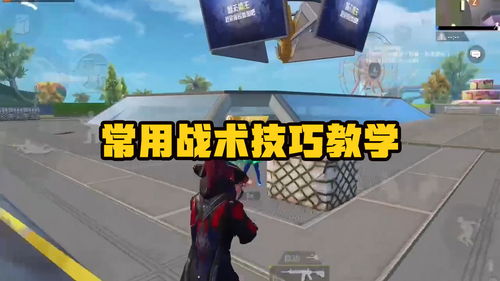 和平精英游戏下载安装正版官方版 